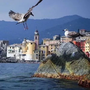 il-camogli.hotelitalianriviera.com/